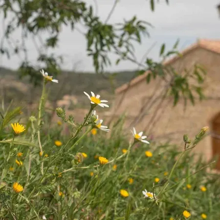 Casa De Letras Сasa de vacaciones *